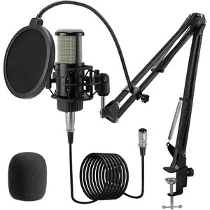 Condenser XLR Microphone, Professional Cardioid Recording Microphone Kit with 25mm Diaphragm for Streaming, Podcasting, Singing, Vocal, Studio Mic with Boom Arm, Pop Filter (AC22)