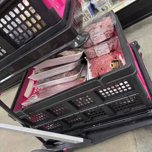 multifunctional folding cart,2 baskets included,collapsible Shopping Cart,storage cart,Modern Portable collapsible Multi-Tier double decker wagon,lightweight,BlackFriday