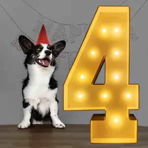 Marquee Light Up Numbers 0-9, Party Decoration Large Marquee Light Up LED Lighted Letters Pre-cut Foam Board Set Can Be Used for Birthdays, Weddings, Anniversaries 2026 Graduation Party Decorations