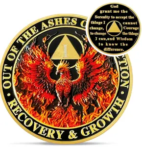 1-18Year Sobriety Chip Reborn from Fire Sober Chips and Medallions Sobriety Coin Alcoholics Anonymous Recovery Addiction Token Sobriety Gifts for Men Women