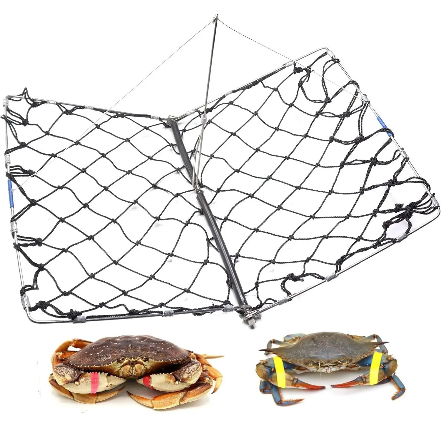 AirFly Foldable Castable Crab Trap - Crab Hawk & Crab Jaw Star Trap with Bait Clip - Portable Fishing Rod Crab Pot for Blue Crabs & Dungeness - Designed in USA (Blue Trap Only, 1 Trap)