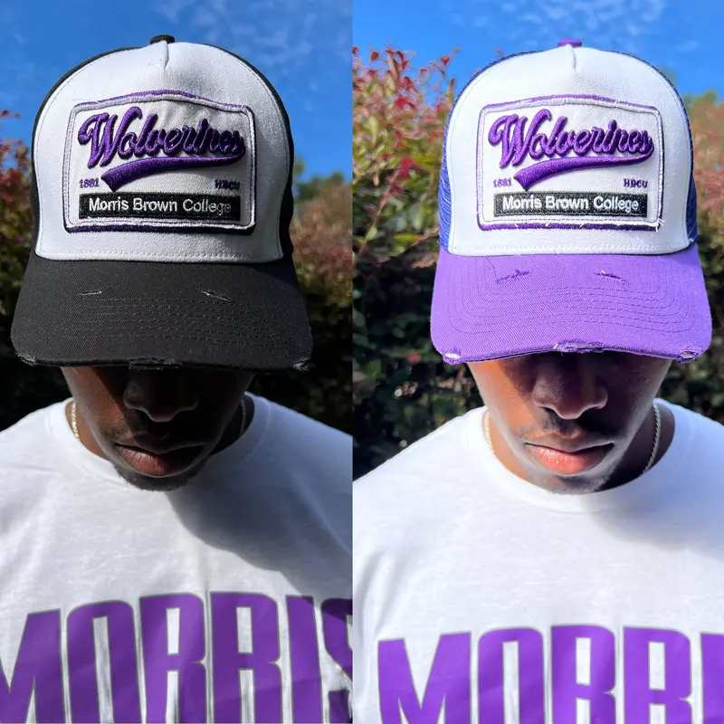 Wolverines Trucker Hat