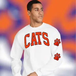Custom School Mascot Varsity appliqué Sweater