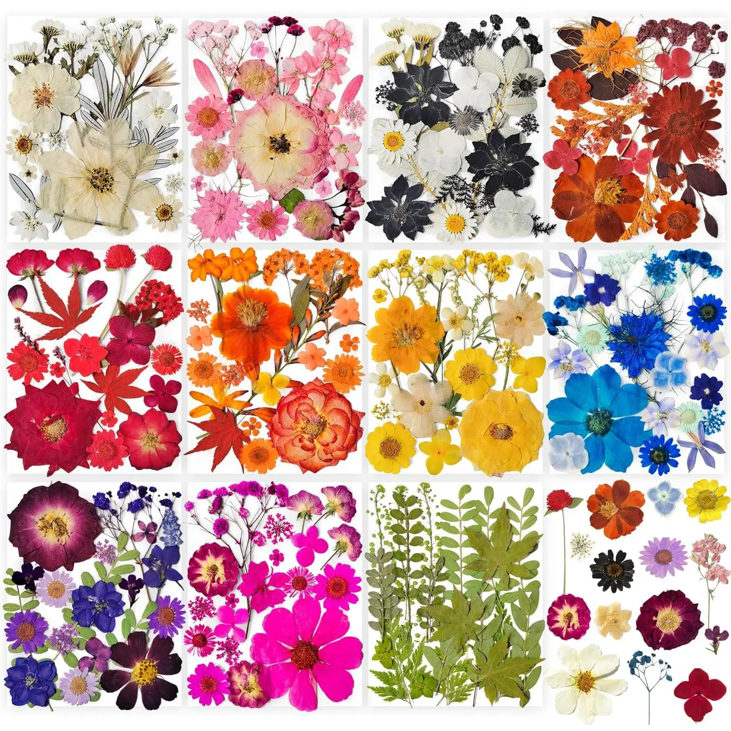 320PCS Dried Pressed Flowers Bulk for Resin, YouthBro Real Natural Pressing Flowers with Two Sheets Butterfly Stikers for Mold DIY Art Crafts,Home Décor,Cherish