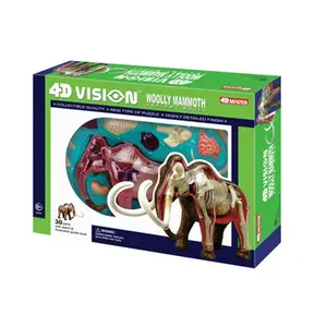 Tedco Toys  4D Vision Wolly Mammouth Anatomy Model