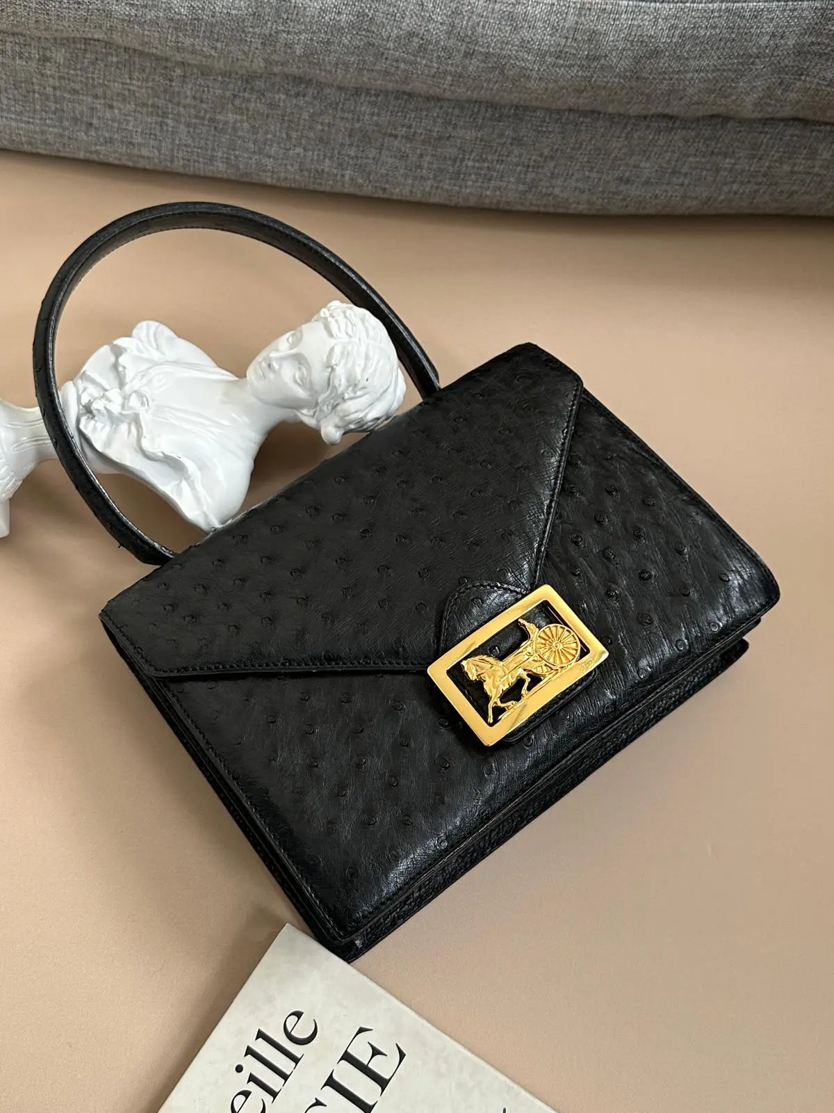 Pre-owned Celine As Shown Shoulder Bags Ostrich Leather Bags and Handbags MR05082026C244