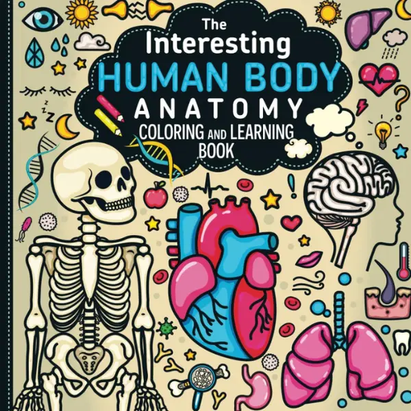 The Interesting Human Body Anatomy Coloring and Learning Book Paperback ...