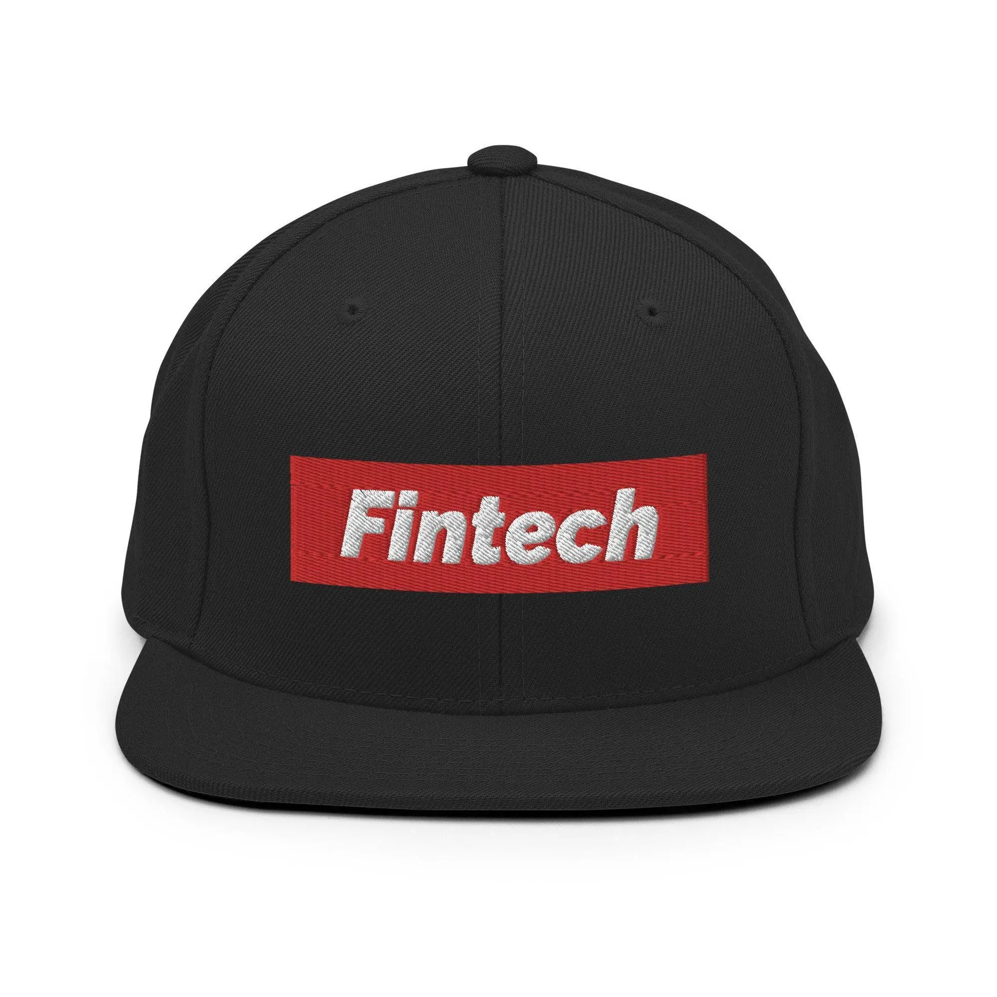 Fintech Snapback Hat