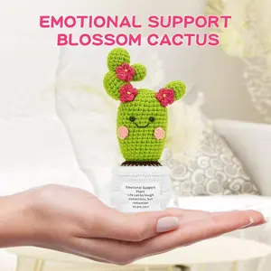 Valentine's Day gift stuffed animal Inspirational Positive Crochet Cactus Gifts Emotional Uplifting Support Handmade Knitted Cactus Mini Funny
