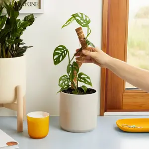 Coconut Coir Bendable Grow Pole 16"