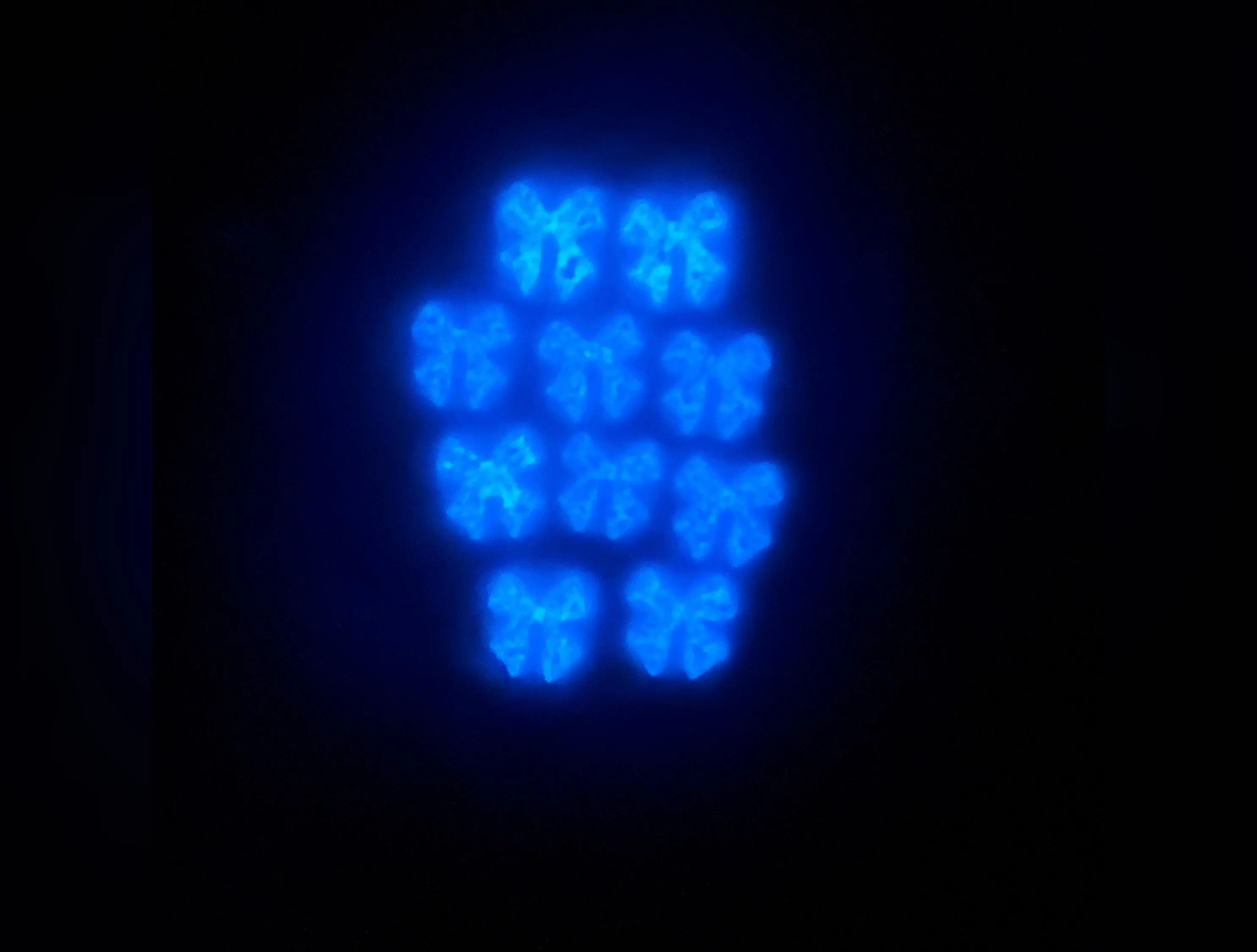 Now Charms: Glow in the Dark Now Charms: Glow in the Dark