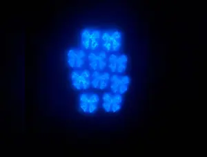 Now Charms: Glow in the Dark