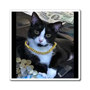 Gangsta Dexy Magnet