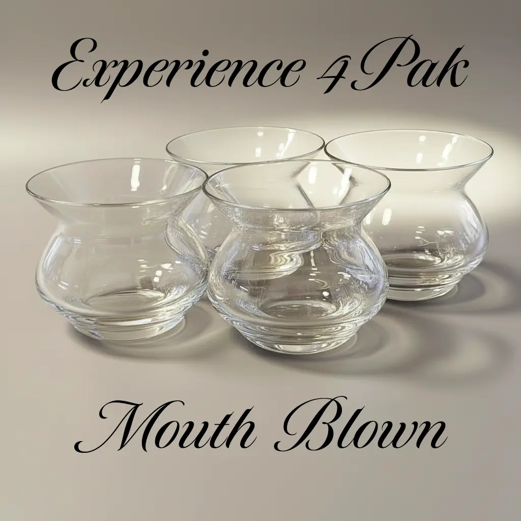 NEAT Experience 4Pak Spirits Glass