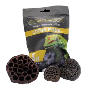 ReptiFauna Lotus Pods 3 Ct