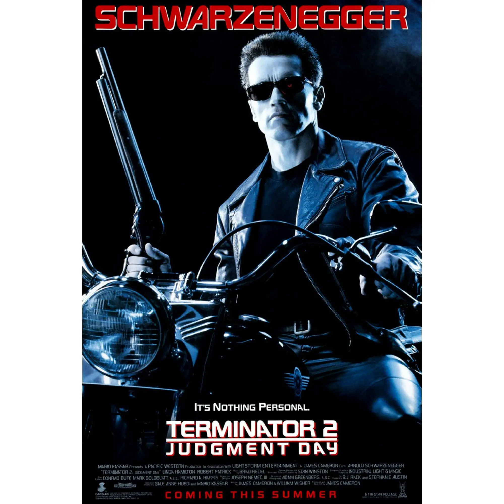 Terminator 2 Graphic Image Movie Poster - Premium Luster Paper, Eco-Friendly, Easy Framing, 12x18 in/16x24 in Home Decor for Film Fans, Kid Room Wall Art, Movie Theme