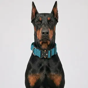 Heavy Duty Tactical Dog Collar for Large Breeds, Adjustable No Pull K9 Training Gear with Professional Control Handle, Quick Release Metal Buckle & Soft Padded Lining for Outdoor Walking