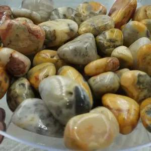 🎨✨ Crazy Lace Agate Tumble – Joy, Stability and Uplifting Energy 🌈