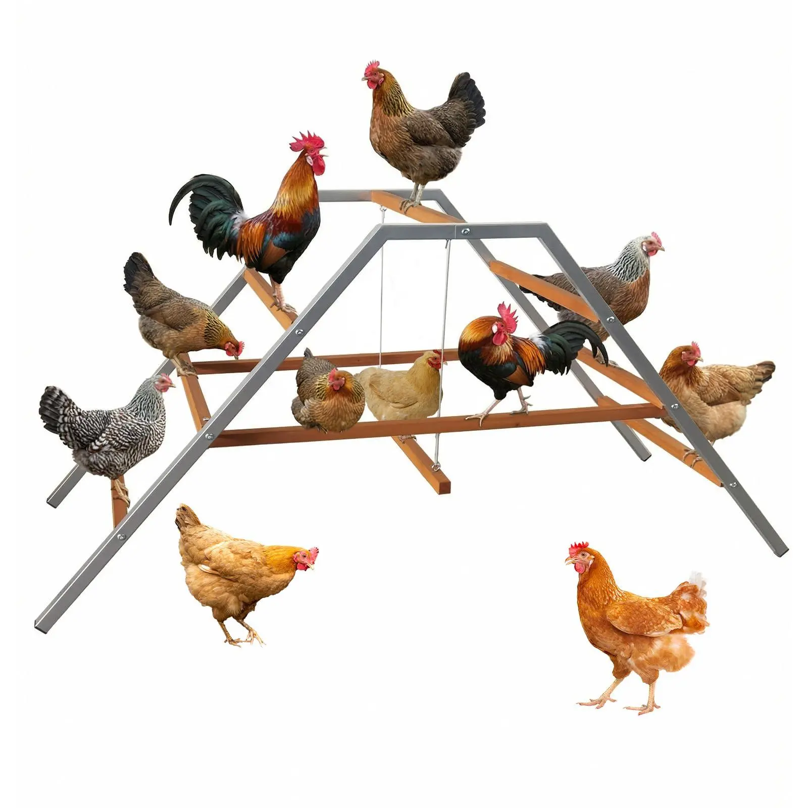 GARVEE Chicken Perch with Swing, Chicken Roosting Bars for Coop Accessories, Wooden Ladder for Chickens' Health and Happiness, Chicken Run Toys Accessories for Backyard Farms
