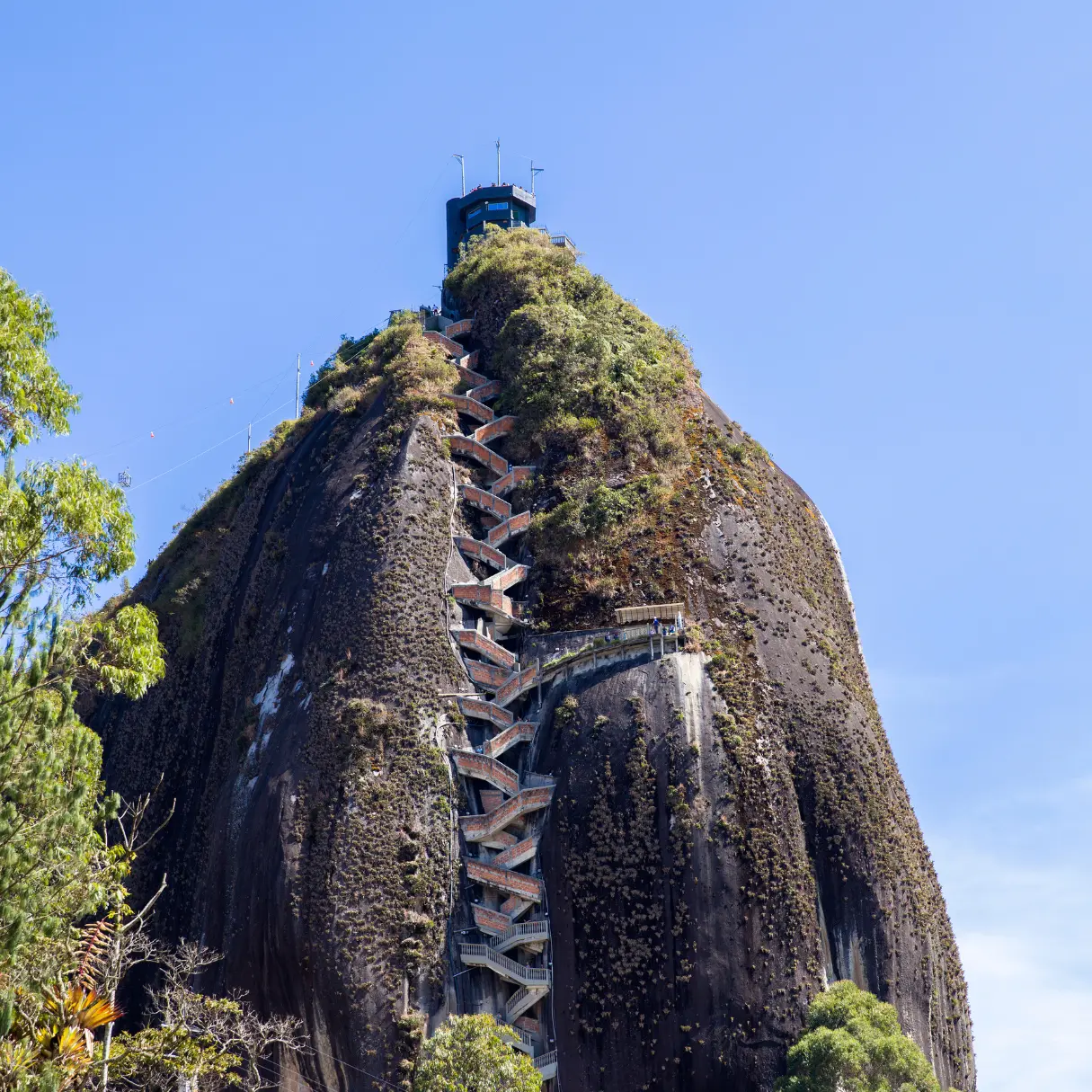Mood Travel Club's Guide to Medellin: Uncover Insider Secrets, Must-See Attractions, and Top Restaurants