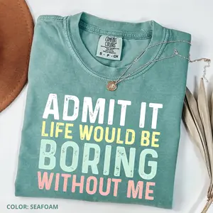 Comfort Colors Funny Saying T-Shirt, Sarcastic 'Admit It' Sassy Tee, Trendy Meme TShirt