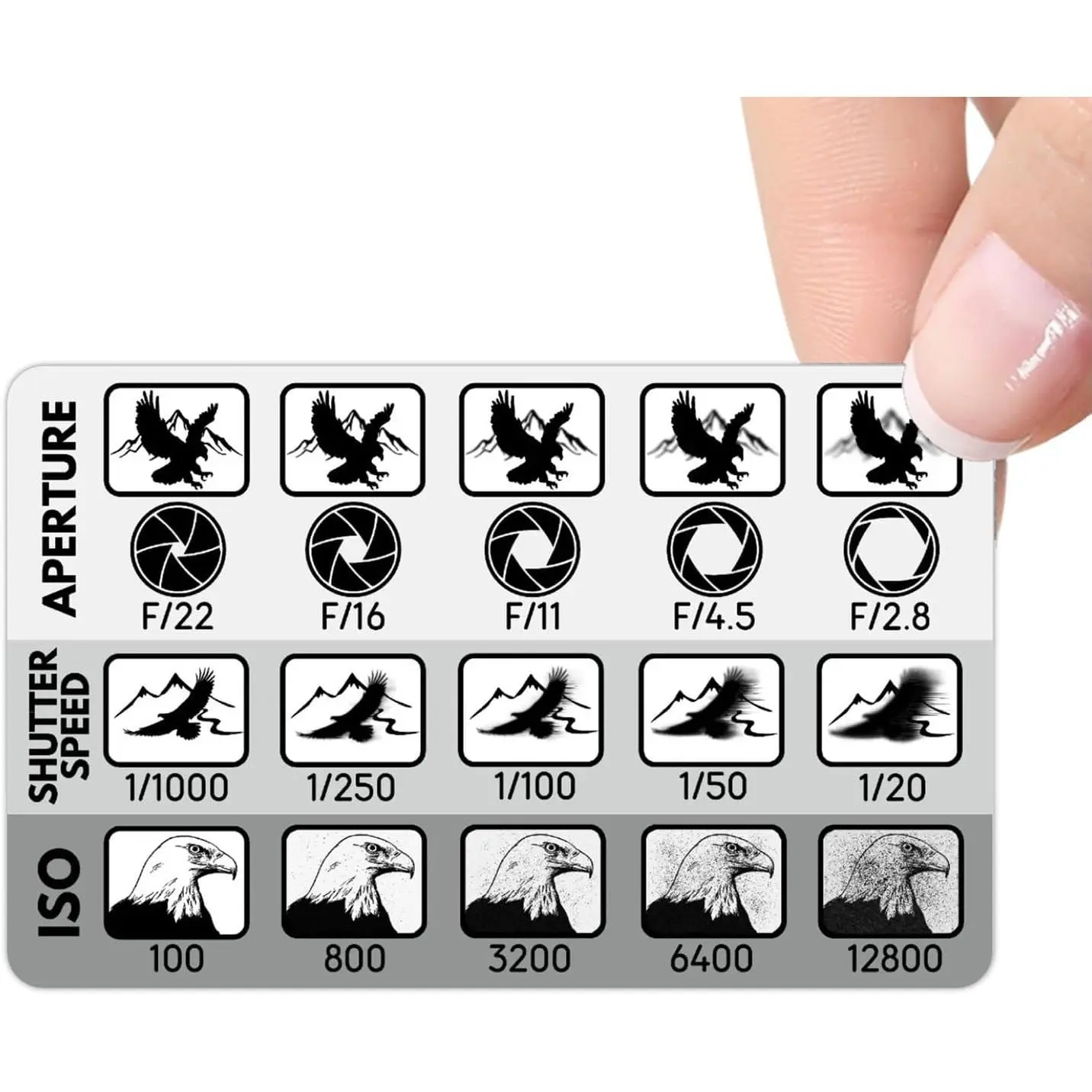 Photographer's Cheat Card (Aperture, Shutter Speed and ISO) - Manual Photography Cheat Sheet for ,  and  Camera.