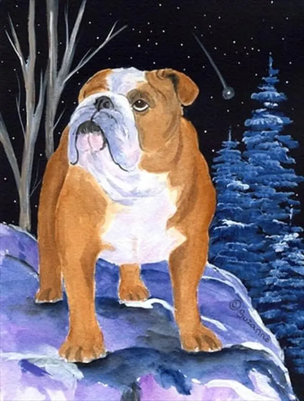 Starry Night English Bulldog Canvas Banner Flag - House Size, 28x40", Fade Resistant Option for Room Decor, Apartment Decor Ideas