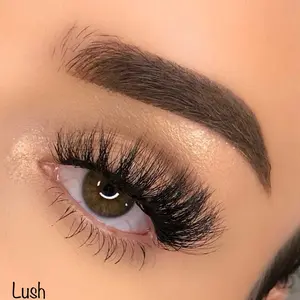 Lush Eyelashes