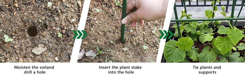 4ft Plastic Coated Steel Stakes – Garden Plant Supports for Tomatoes & Climbing Plants (25pcs)