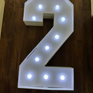 Light-Up Number & Letter (1 Set), Battery-Powered Light-Up Numbers, Giant Numbers for Birthday, Anniversary & Graduation Party Decorations, Party LED Lights, Led Lighted, Battery Powered Ornament #GLOBAL PICKS