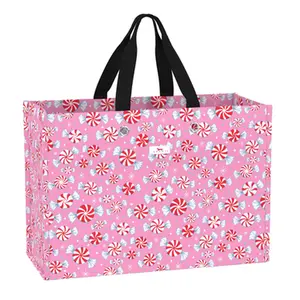 X-Large Package Candyland Gift Bag