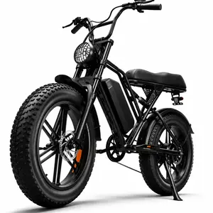 20" Fat Tire Electric Bike, 2000W Peak Power, 35-50 Miles Range, Dual Suspension, 7-Speed E-Bike for Adults Off-Road
