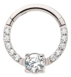 Orb Row CZ Titanium Hinged Segment Ring