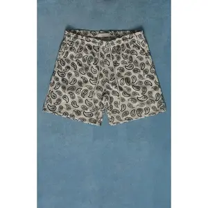 Pacsun Men's Paisley Mesh Shorts