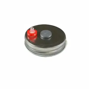 Mycology Mason Jar Lids with Silicone Injection Port & Filter Disk
