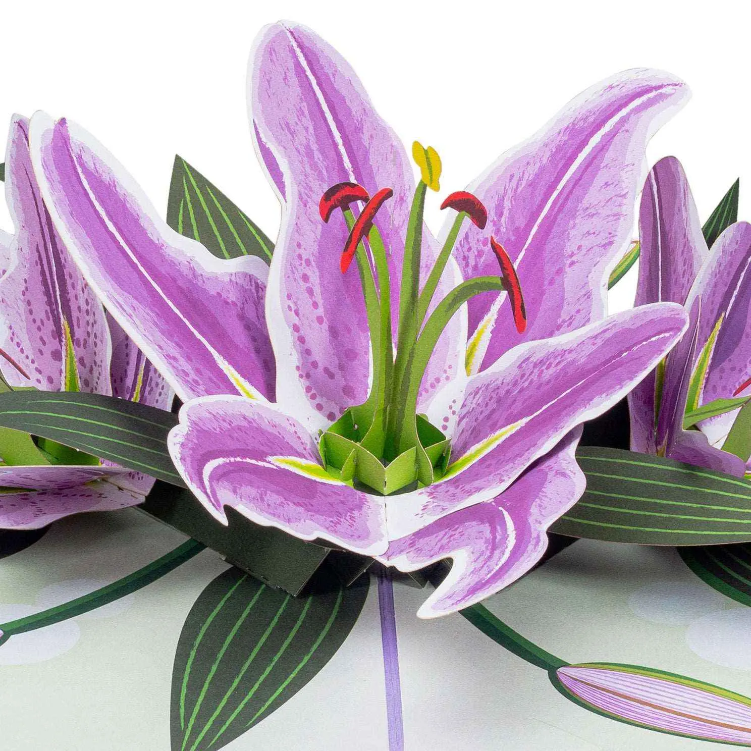 Lilies Pop Up Card - Detailed Description Provided Vibrant Colors Celebration Card