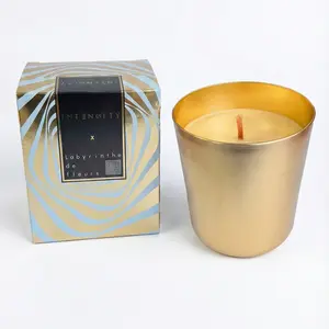 Natural Soy Wax Candles 290g Aromatherapy Candle with Long-Lasting Fragrance for Indoor & Outdoor Use in Aluminium Cup Perfect for Living Room Office Yoga Cozy Vibes（Scent: Lemon, Ylang Ylang, Musk & Woody Notes）