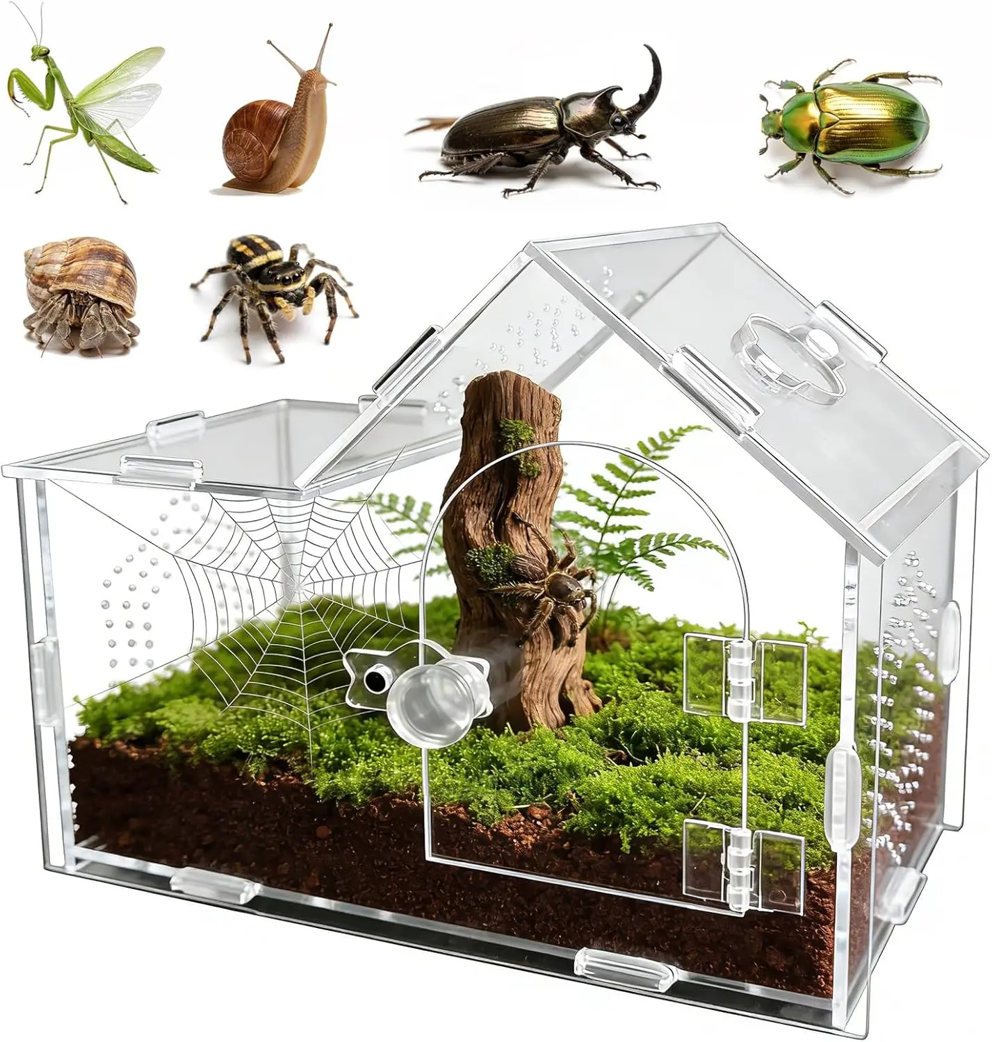 Acrylic Jumping Spider Enclosure with Magnetic Lock – Clear Ventilated Terrarium Box for Tarantulas, Geckos, Mantises, Hermit Crabs, Snails, and Other Small Pets (. x x Inch