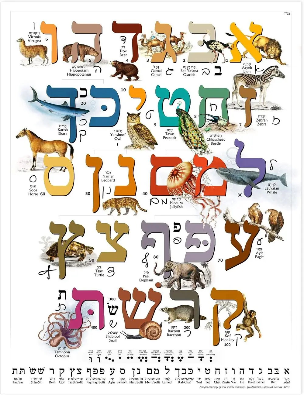 Hebrew Alphabet Animals Poster, Aleph Bet Hebrew Letter Chart, Hebrew Alphabet Learning Poster, Hebrew Letters with Animal Illustrations, Hebrew Language Education Wall Art, Jewish Classroom Decor, Homeschool Study Poster for Kids and Adults