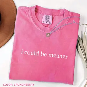 Comfort Colors I Could Be Meaner Shirt, Funny Sarcastic Humor Quote Tee, Hilarious Quote Shirt, Women's Casual Tee Cotton Fabric Tops