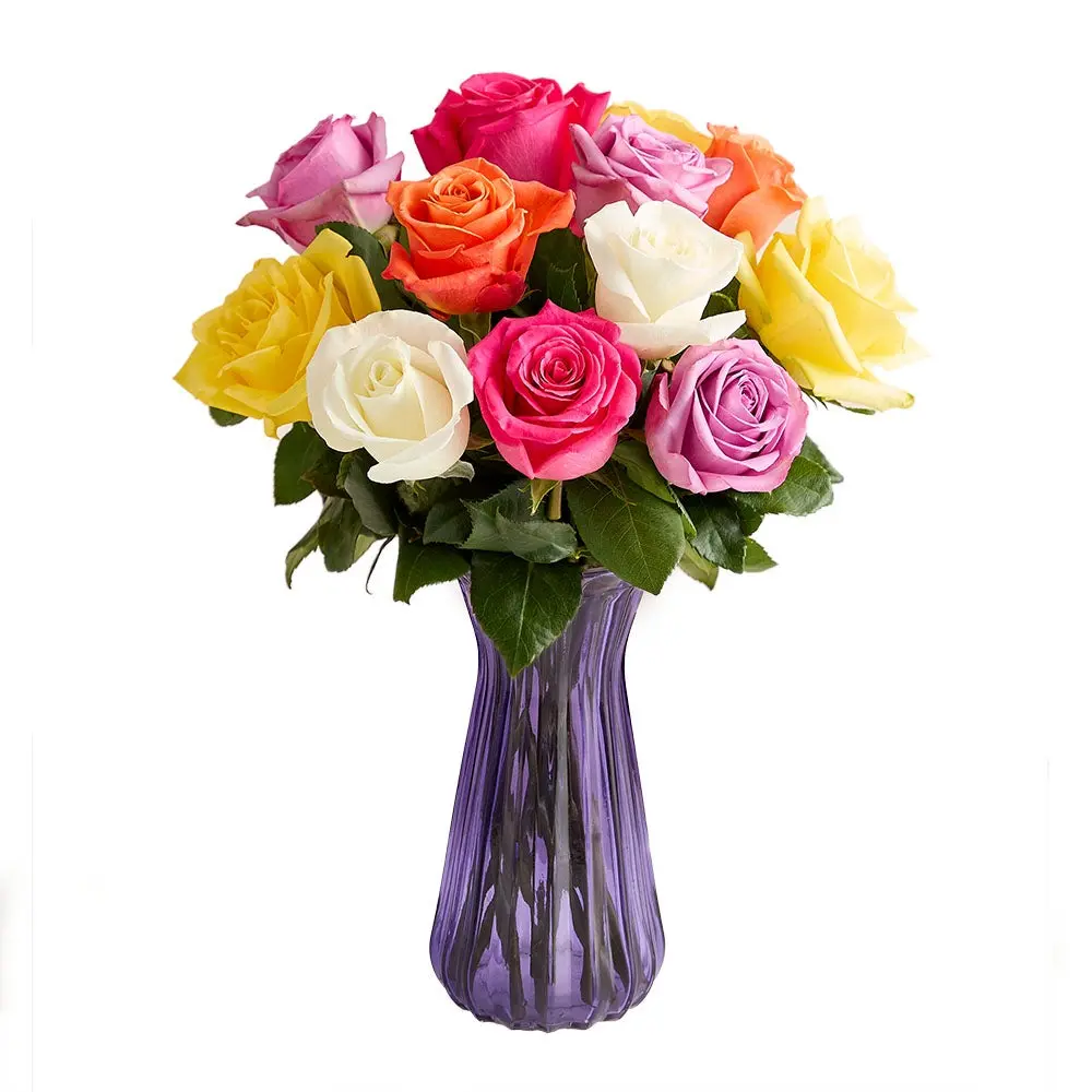 1800 Flowers – 12 Stem Assorted Bright Roses (Clear Purple Vase Included) | Fresh Cut Spring Flowers for Delivery |Gift for Spring, Anniversary, Sympathy, and Special Occasions