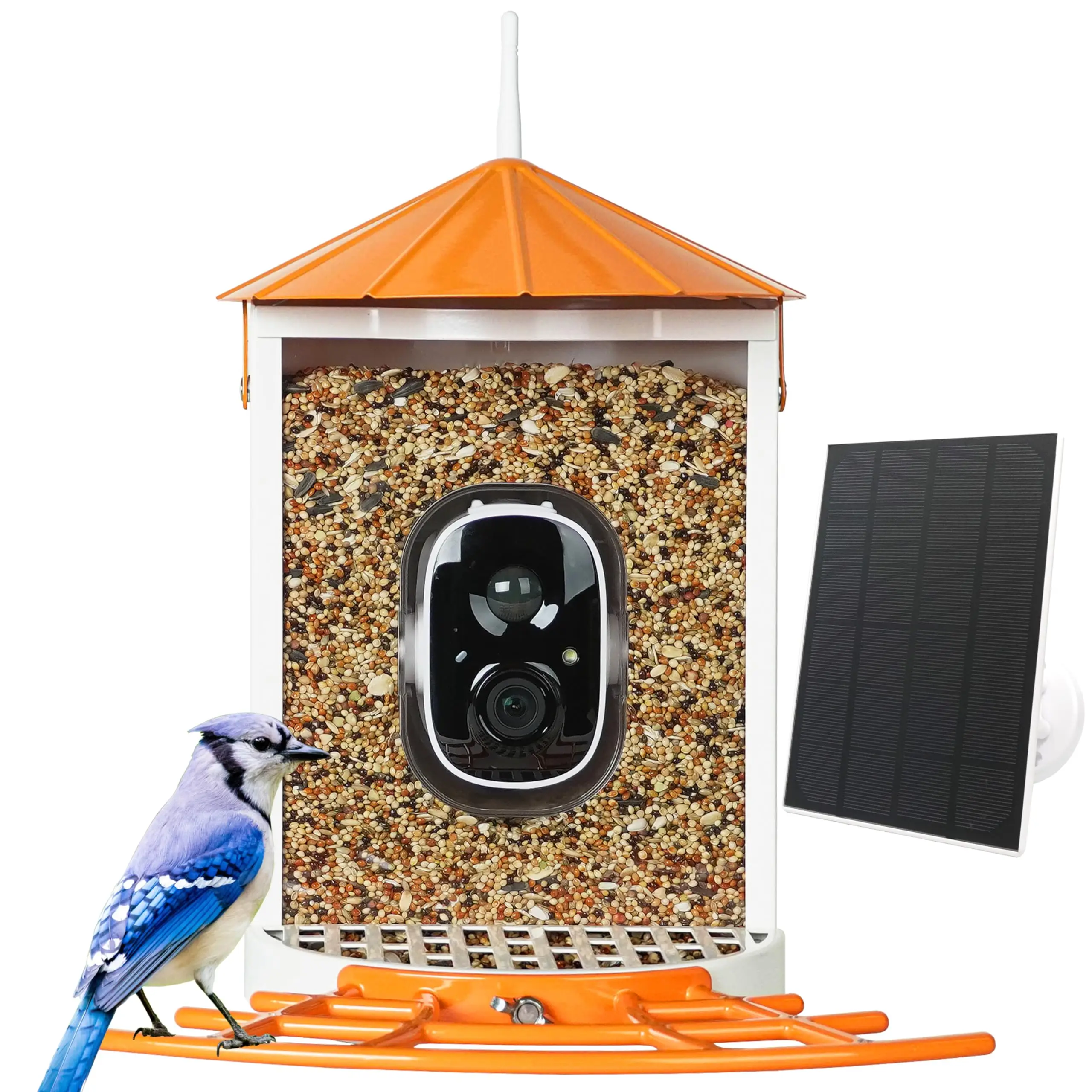 Birdkiss Smart Bird Feeder with Camera, Auto Capture Bird Videos, Motion Detection, Seed Guard, Ideal for Bird Lovers, Metal Construction