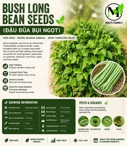 Bush Long Green Bean Seeds – Đậu Đũa Bụi Ngọt | Non-GMO Asian Vegetable