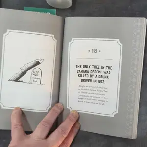 review image 2