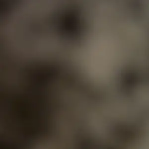 review image 9