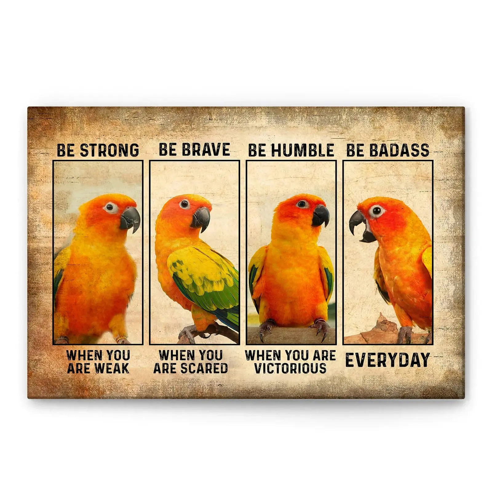 Trendy Poster-Sun Conure Be Strong Be Brave Be Humble Be Badass Sun Conure Parrot Bird Love... Colorful Decor love quote Room Gifts Ornaments Wall Decoration Photo
