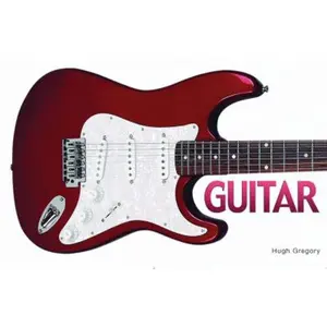 USED-Guitar by Michael Heatley (Hardcover)