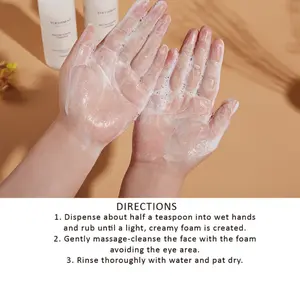 Mild enzyme cleansing powder