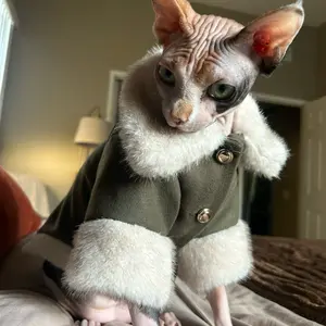 “Lost in the Forest” Sphynx Coat