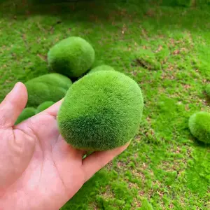 Realistic Moss Stone Props, Photography Backdrop Decorations, Miniature Landscape Arrangements, Wall Scene Accessories